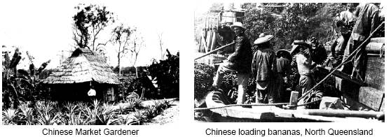 china11.jpg - 32520 Bytes
